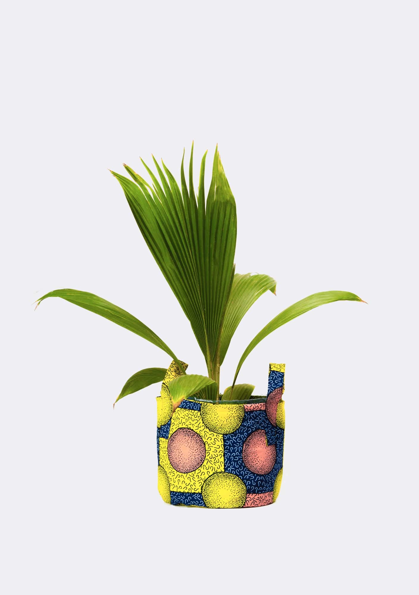 YEVU VIP Pot Planter - Celestial