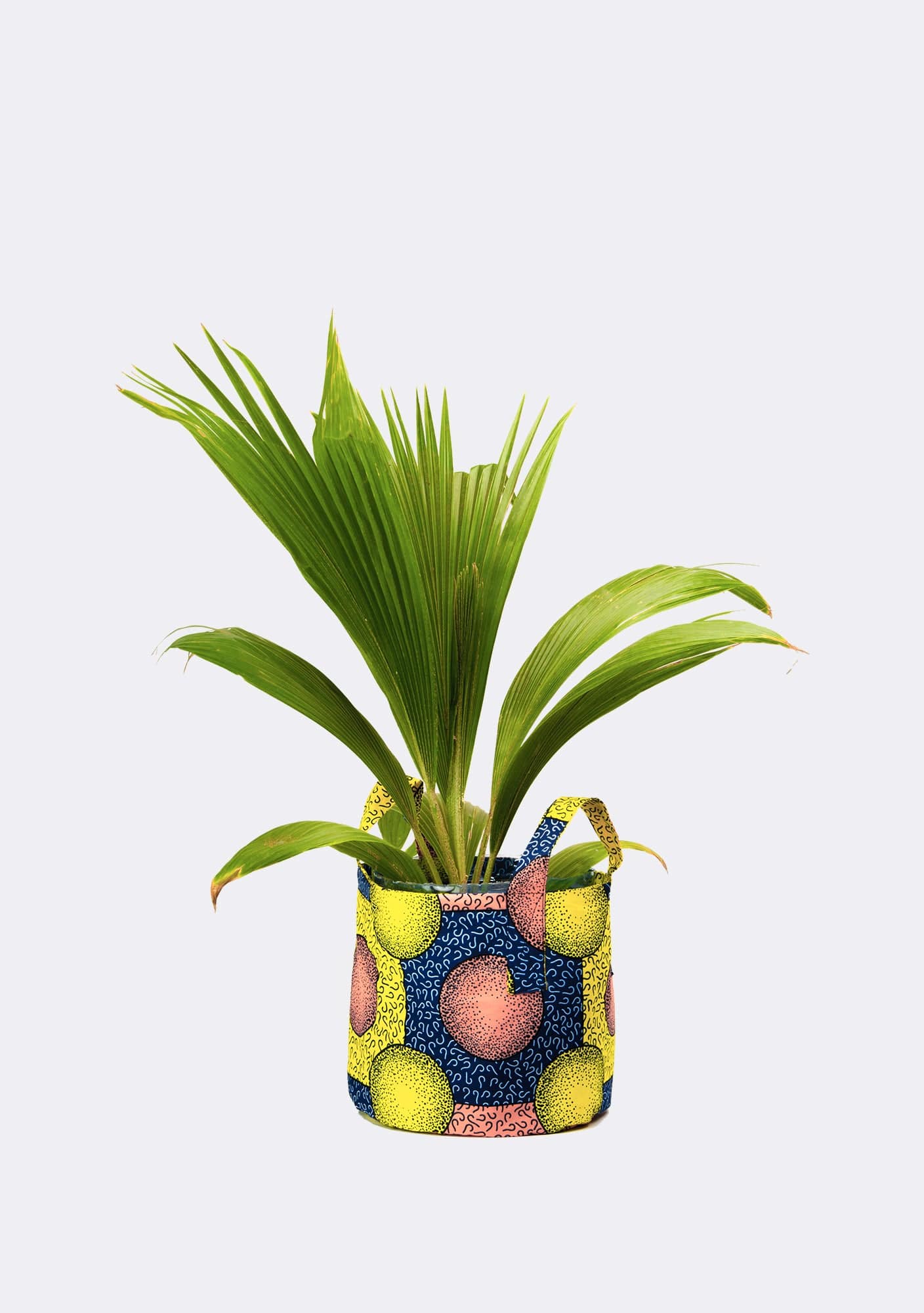 YEVU VIP Pot Planter - Celestial